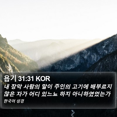 욥기 31:31 KOR Bible Verse Image