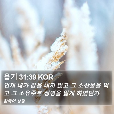 욥기 31:39 KOR Bible Verse Image