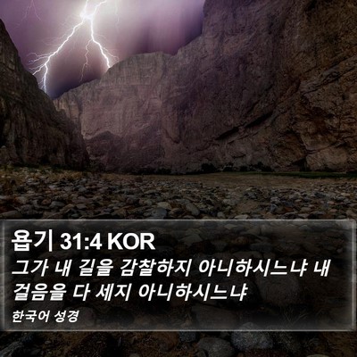 욥기 31:4 KOR Bible Verse Image