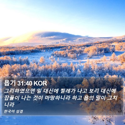 욥기 31:40 KOR Bible Verse Image