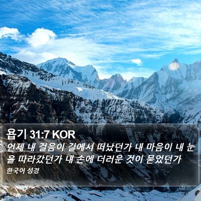 욥기 31:7 KOR Bible Verse Image