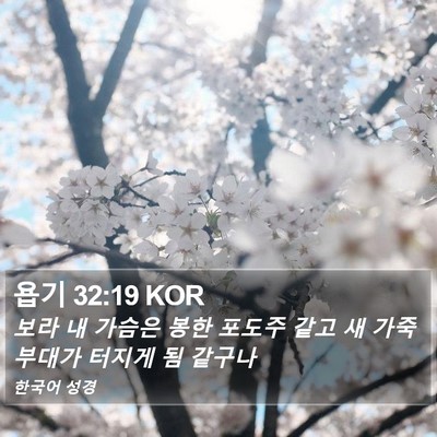 욥기 32:19 KOR Bible Verse Image