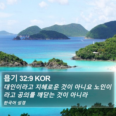 욥기 32:9 KOR Bible Verse Image