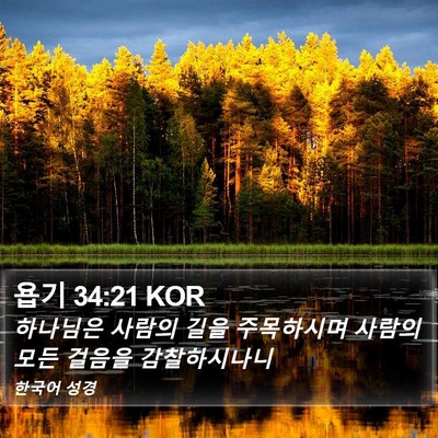 욥기 34:21 KOR Bible Verse Image
