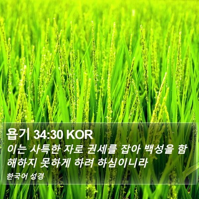 욥기 34:30 KOR Bible Verse Image