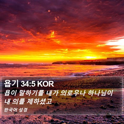 욥기 34:5 KOR Bible Verse Image