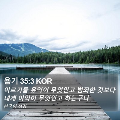 욥기 35:3 KOR Bible Verse Image