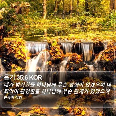 욥기 35:6 KOR Bible Verse Image