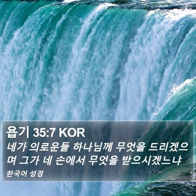 욥기 35:7 KOR Bible Verse Image