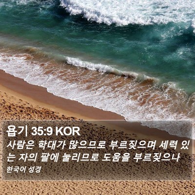 욥기 35:9 KOR Bible Verse Image