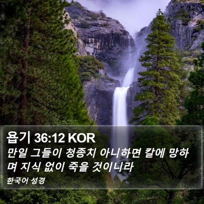 욥기 36:12 KOR Bible Verse Image