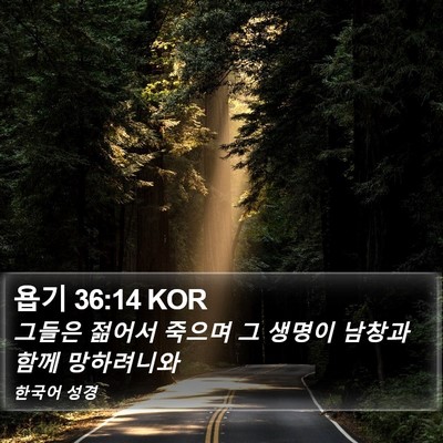 욥기 36:14 KOR Bible Verse Image
