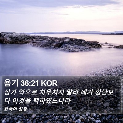 욥기 36:21 KOR Bible Verse Image