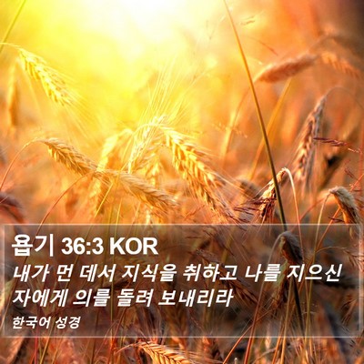 욥기 36:3 KOR Bible Verse Image