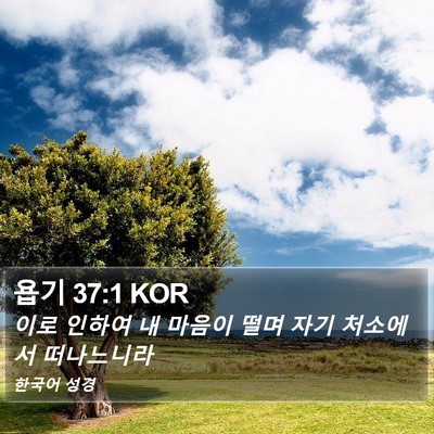 욥기 37:1 KOR Bible Verse Image