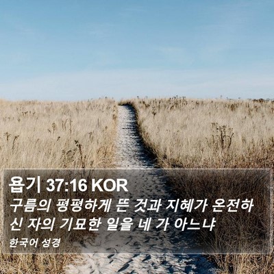 욥기 37:16 KOR Bible Verse Image