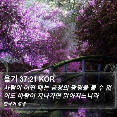 욥기 37:21 KOR Bible Verse Image