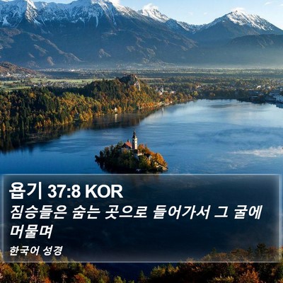 욥기 37:8 KOR Bible Verse Image