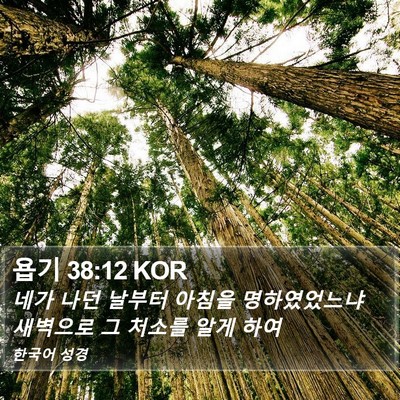 욥기 38:12 KOR Bible Verse Image