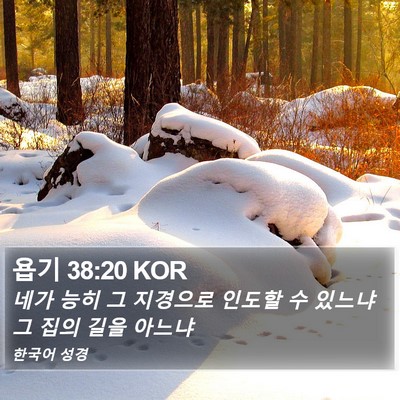 욥기 38:20 KOR Bible Verse Image