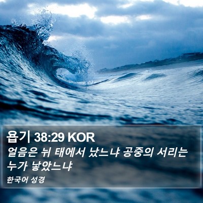 욥기 38:29 KOR Bible Verse Image