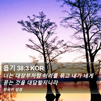 욥기 38:3 KOR Bible Verse Image