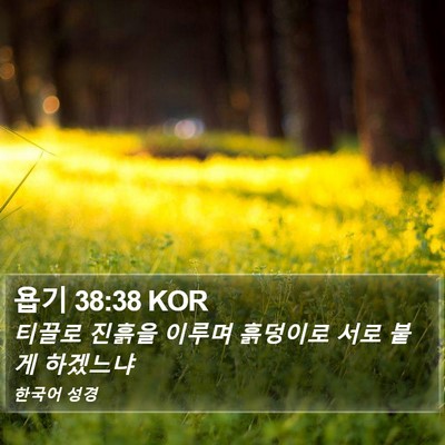 욥기 38:38 KOR Bible Verse Image