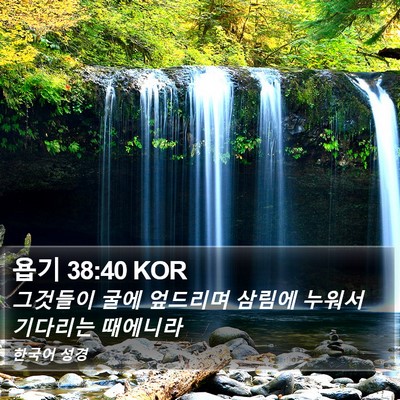 욥기 38:40 KOR Bible Verse Image