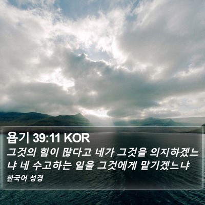 욥기 39:11 KOR Bible Verse Image