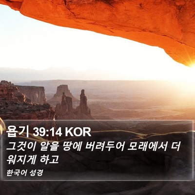 욥기 39:14 KOR Bible Verse Image