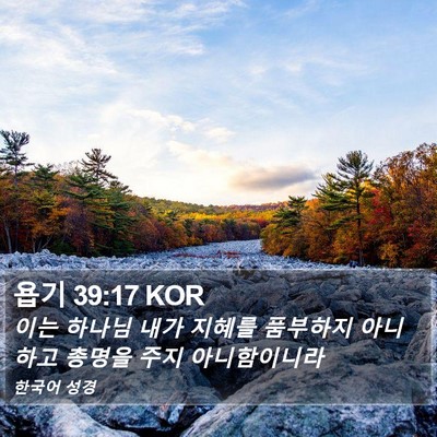 욥기 39:17 KOR Bible Verse Image