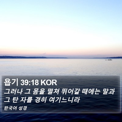 욥기 39:18 KOR Bible Verse Image