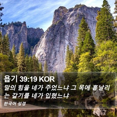 욥기 39:19 KOR Bible Verse Image