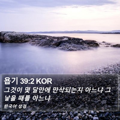 욥기 39:2 KOR Bible Verse Image