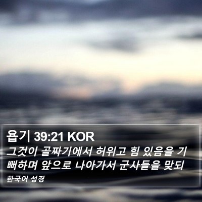 욥기 39:21 KOR Bible Verse Image