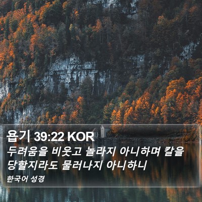 욥기 39:22 KOR Bible Verse Image