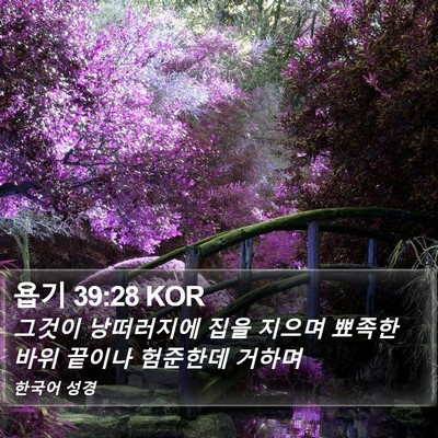 욥기 39:28 KOR Bible Verse Image
