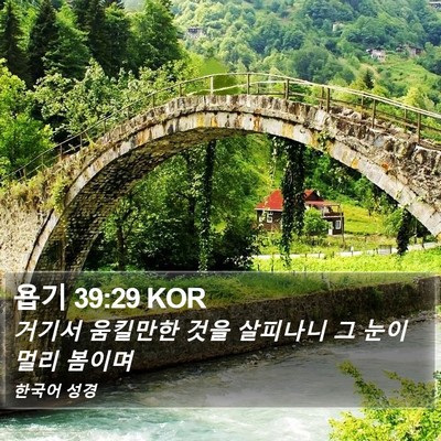 욥기 39:29 KOR Bible Verse Image