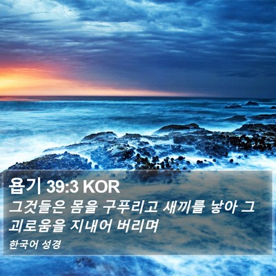 욥기 39:3 KOR Bible Verse Image