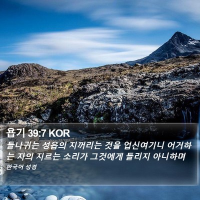 욥기 39:7 KOR Bible Verse Image