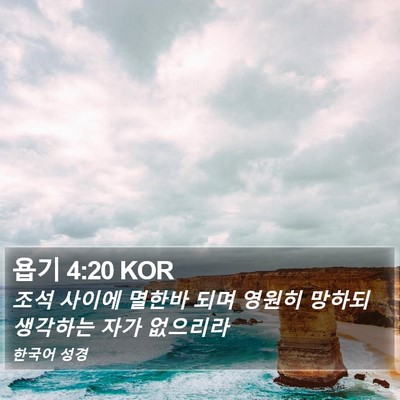 욥기 4:20 KOR Bible Verse Image