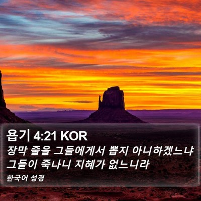 욥기 4:21 KOR Bible Verse Image