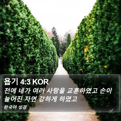 욥기 4:3 KOR Bible Verse Image