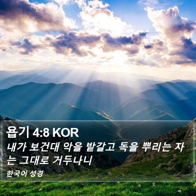 욥기 4:8 KOR Bible Verse Image