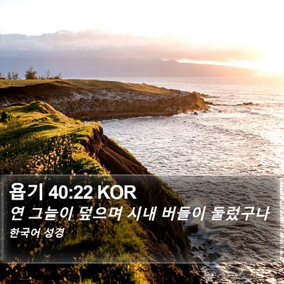 욥기 40:22 KOR Bible Verse Image