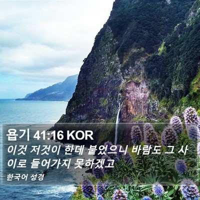 욥기 41:16 KOR Bible Verse Image
