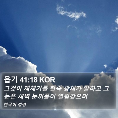 욥기 41:18 KOR Bible Verse Image