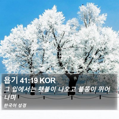 욥기 41:19 KOR Bible Verse Image