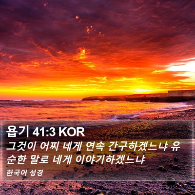 욥기 41:3 KOR Bible Verse Image