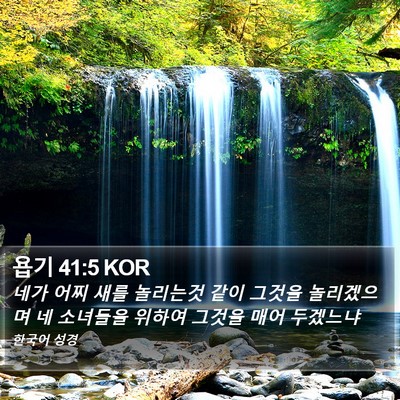 욥기 41:5 KOR Bible Verse Image
